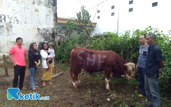 Thumbnail Berita - Idul Adha, Golkar Trenggalek Salurkan Daging Kurban