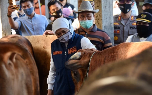 Thumbnail Berita - Jaga Ketahanan Pangan, Produksi Daging Jatim Capai 613.200 Ton