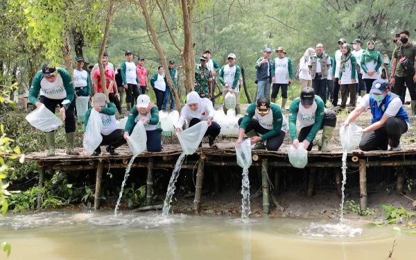 Thumbnail Berita - Jaga Ekosistem Mangrove Melalui Festival Ke-3 Mangrove