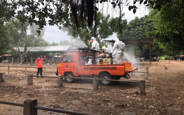 Thumbnail Berita - Semprot Disinfektan, Gerak Cepat BPBD Jatim Cegah Kasus PMK