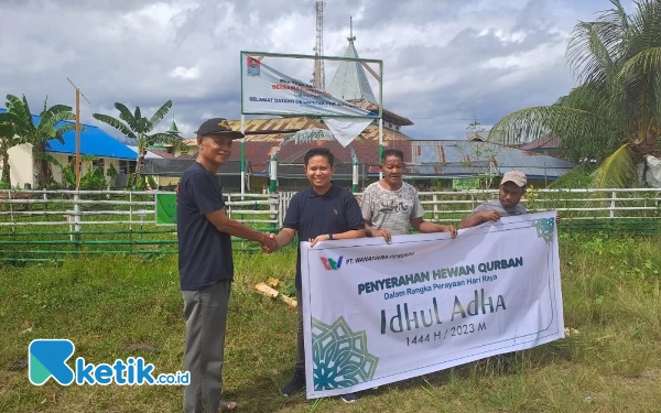 Thumbnail Berita - Lagi, PT. Wanatiara Berbagi Hewan Kurban di Masjid Kesultanan Bacan