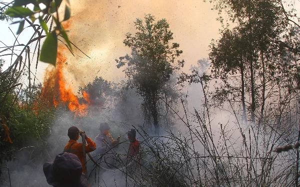 Thumbnail Petugas gabungan berusaha memadamkan api di Kelurahan Talang Betutu Kecamatan Sukarami Palembang, Rabu (11/11/2023). Wahyu Rahmanto