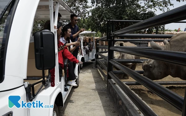 Thumbnail Pengunjung sedang menyaksikan satwa di Drive Thru Park. (Foto: Sholeh/ketik.co.id)