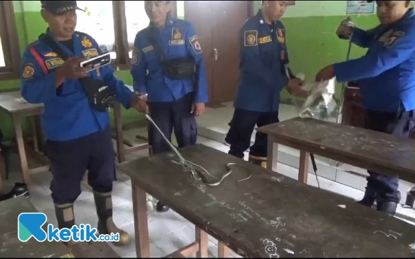 Thumbnail Berita - Atap Kelas SD di Jember Jadi Sarang Ular, Siswa Belajar di Luar Ruangan