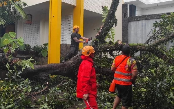 Thumbnail Berita - Akibat Hujan dan Angin Kencang, Bangunan dan Mobil di Jember Rusak