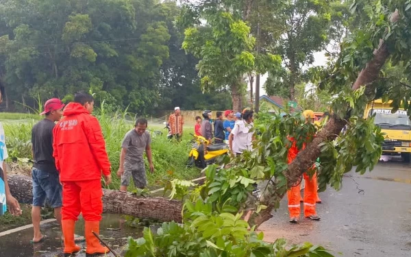 Thumbnail Berita - Masyarakat Jember Diimbau Waspada Bencana Hidrometeorologi Sepekan ke Depan