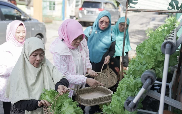 Thumbnail Berita - Program BRInita Sulap Lahan Sempit Jadi Urban Farming yang Produktif