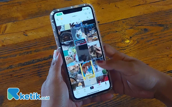 Thumbnail Berita - Yuk, Mengenal Layanan TikTok Notes dan Fitur yang Ditawarkan