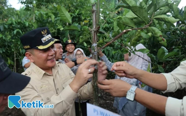 Thumbnail Berita - Pemkot Pagaralam Galakkan Program Sambung Pucuk Kopi, Ikhtiar Pacu Produktivitas Pertanian