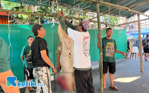 Thumbnail Berita - Kurangi Penggunaan Plastik saat Idul Adha, Pemkot Malang Butuh Sosialisasi Bertahap