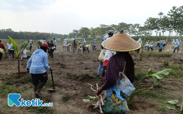 Thumbnail Berita - Tolak HGU Diperpanjang, Puluhan Warga Lereng Kelud Gelar Aksi Tanam Pohon Pisang