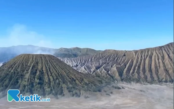 Thumbnail Berita - Polisi Temukan Ladang Ganja 1,5 Hektare di Taman Nasional Bromo