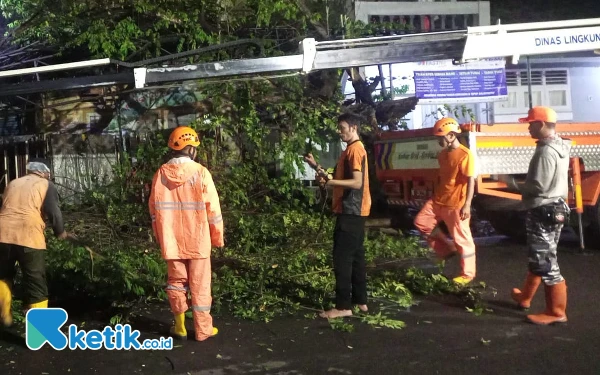 Thumbnail Berita - Memasuki Musim Hujan, BPBD Kota Malang Catat Lima Peristiwa Pohon Tumbang dalam Sepekan