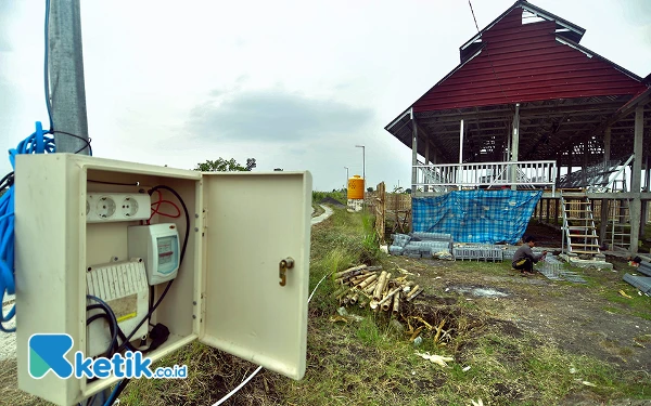 Thumbnail Berita - [Berita Foto] Elektrifikasi PLN Tingkatkan Produktivitas Ayam Petelur