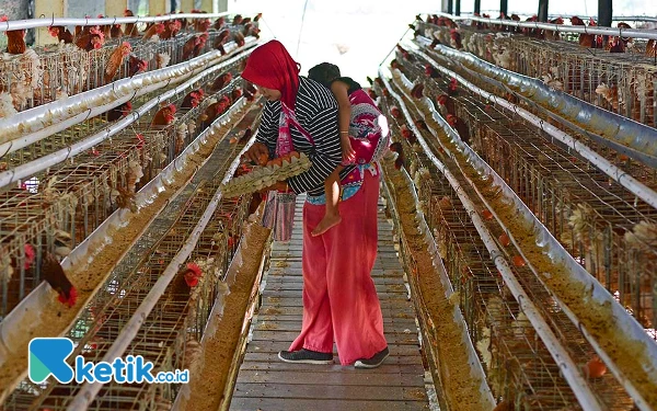 Thumbnail Berita - [Berita Foto] Lewat Optimalisasi Bumdes Farm, PEPC Tingkatkan Ekonomi Masyarakat