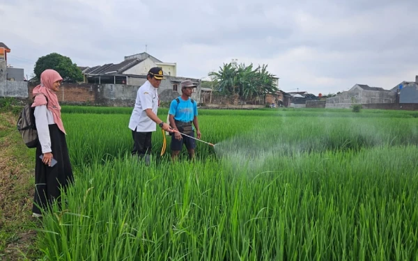 Thumbnail Berita - Tunggu Perpres, Petani di Kota Malang Bisa Dapat Pupuk Bersubsidi dengan Mudah