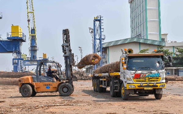 Thumbnail Seorang pekerja dengan APD lengkap melakukan bongkar muat kayu log (gelondong) di Pelabuhan Dalam Subholding PT Pelindo Multi Terminal (SPMT) Branch Tanjung  Emas Semarang, Rabu (22/5/2024). (Foto: Achmad Fazeri/Ketik.co.id)