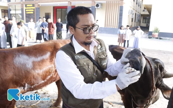 Thumbnail Berita - Dokter Hewan Disnakkan Situbondo Tidak Temukan Penyakit pada Daging Kurban