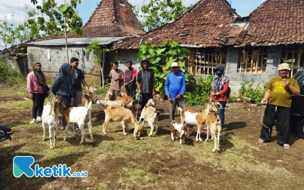 Thumbnail Berita - Cerita Warga Pacitan Termakan Isu Gempa, Ternak Pun Ikut Mengungsi