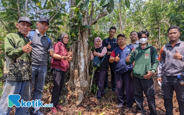 Thumbnail Berita - Ratusan Hektar Kebun Kopi Liberika Peninggalan Belanda Ditemukan di Pacitan